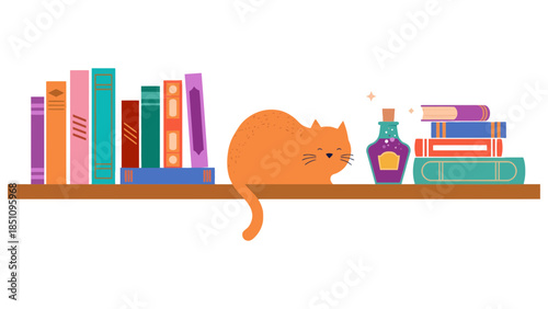 Curious cat observes a potion bottle on a bookshelf filled with colorful books.