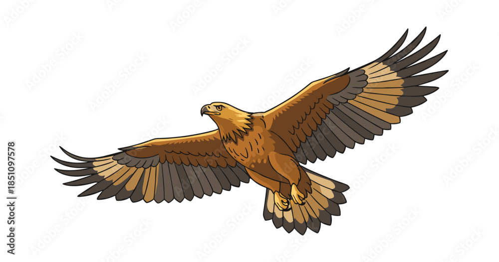 Obraz premium Golden eagle flying with wings spread wide