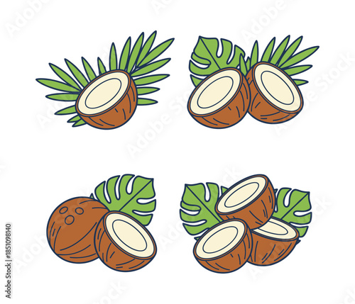 Coconut fruit with tropical palm and monstera leaves