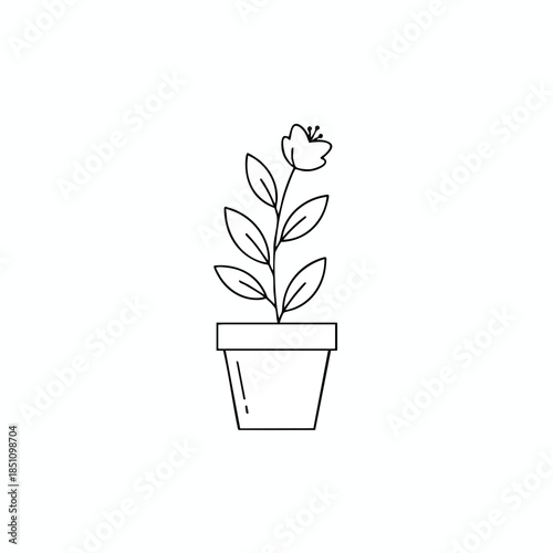 A simple line drawing shows a flowering plant in a pot