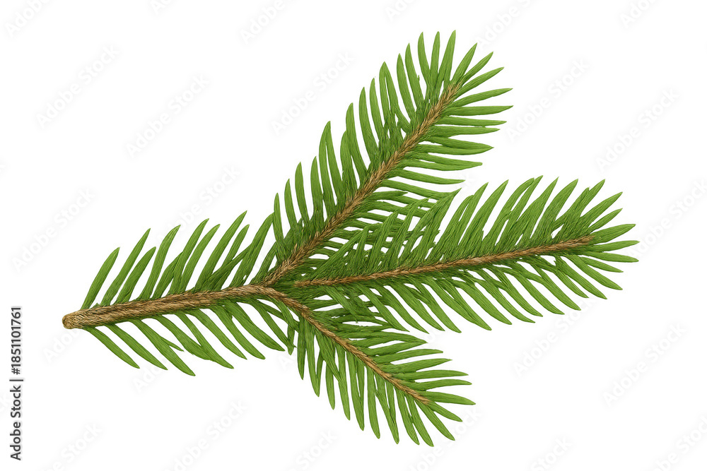 Naklejka premium Spruce branch with green needles, evergreen conifer tree foliage for winter and christmas season designs on transparent background