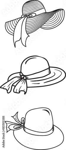 Summer Hat Trio: A trio of elegant summer hats, each with its unique flair and charm, embodies the essence of sunny days, leisure, and style.