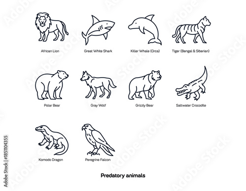 Predatory Animals Line Art Vector Collection