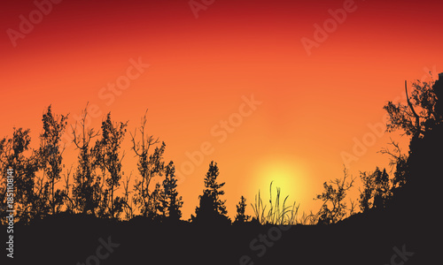 Orange Sunset Landscape with Tree Silhouettes