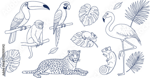 Set of tropical jungle animals and exotic birds featuring line art illustrations of toucan flamingo leopard parrot and monkey for nature travel branding