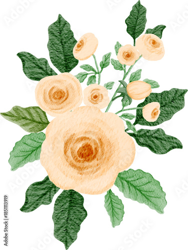 Watercolor peach roses arrangement illustration