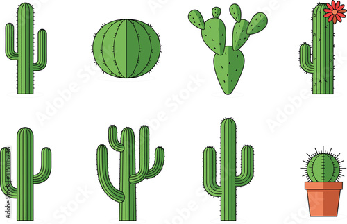Vector illustration set of various green cactus species including saguaro, prickly pear, and barrel cactus isolated on white for desert themes.