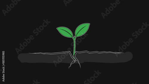 Young Green Seedling with Roots Illustration.