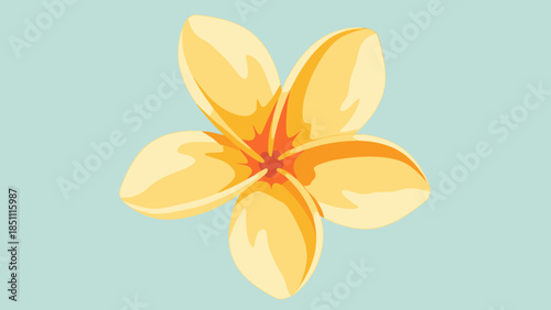 Yellow Frangipani Flower Illustration.