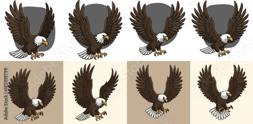 Detailed bald eagle illustration set showing flying and perched poses symbolizing freedom, strength, wildlife, patriotism, and nature art design