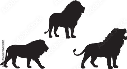 Lion Silhouette Set in Different Poses Isolated on White Background Wildlife Illustration