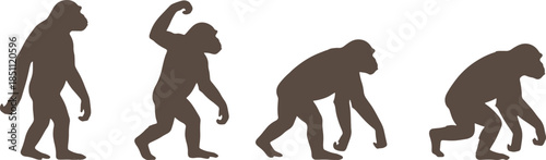 Chimpanzee Silhouette Set in Different Poses Isolated on White Background Illustration