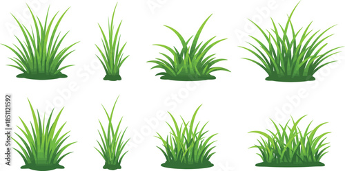 Collection of green grass plants