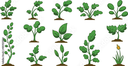 Diverse collection of young plants