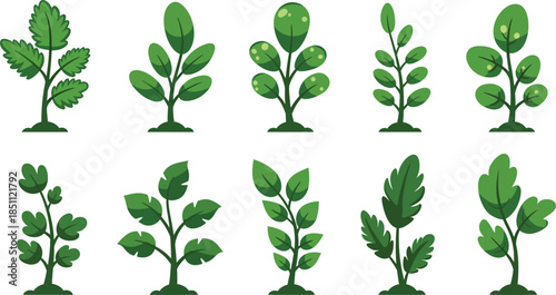 Collection of illustrated trees