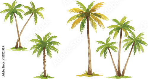 Group of palm trees in a tropical setting