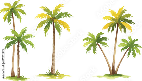 Tropical palms in a serene setting