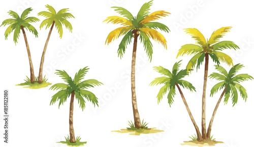 Tropical palms in serene setting