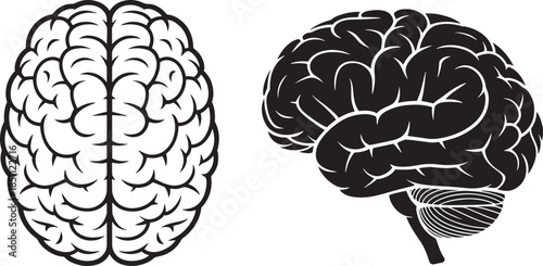 Human Brain Vector Set – Black and White Brain Icons, Anatomy Illustration, Medical Science, Intelligence and Mind Concept, Isolated on White Background
