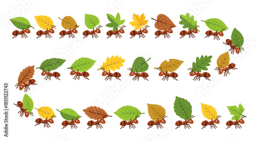Ants carrying fallen leaves in a winding line