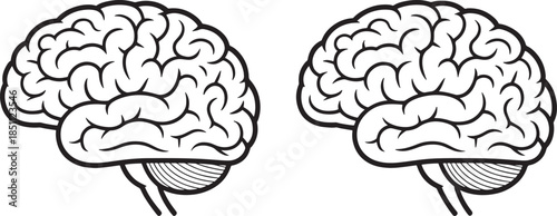 Human Brain Vector Set – Black and White Brain Icons, Anatomy Illustration, Medical Science, Intelligence and Mind Concept, Isolated on White Background