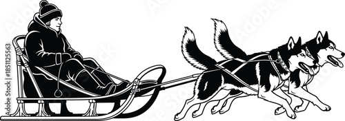 Black and white vector of person riding dog sled with two huskies, winter transportation concept for snow travel and adventure design.