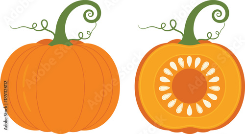 Pumpkin whole and sliced vector illustration set with orange autumn squash in flat cartoon style isolated on white for fall harvest Halloween and food designs