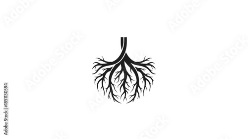 Abstract representation of tree roots or lung bronchi.