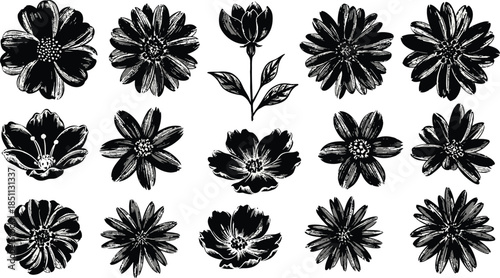 Big set with wreath, design elements, frames, calligraphic. Vector floral illustration with branches, berries, feathers and leaves. Nature frame