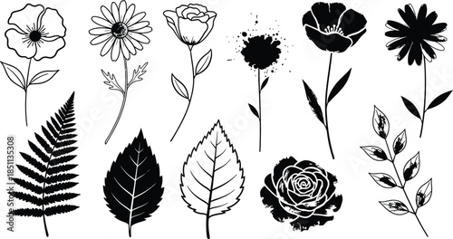 Big set with wreath, design elements, frames, calligraphic. Vector floral illustration with branches, berries, feathers and leaves. Nature frame