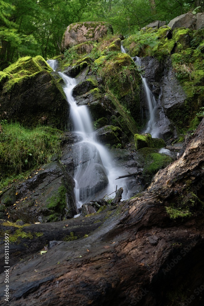 Fototapeta premium view of the Dondalen Waterfall near Gudhjem on the Danish island of Bornholm