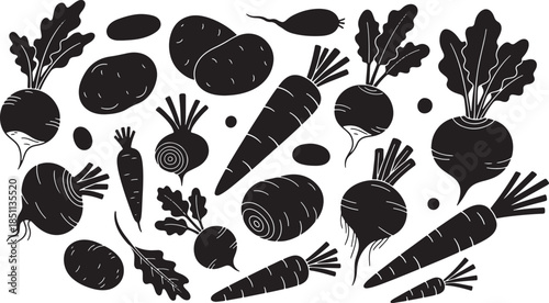 Vegetable Illustrations Collection