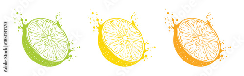 Minimal Citrus Fruit Slice Icon Set in Black and White, Line Art and Silhouette Vector Illustration Arranged in Row