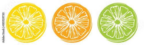 Minimal Citrus Fruit Slice Icon Set in Black and White, Line Art and Silhouette Vector Illustration Arranged in Row