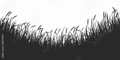 Silhouette of tall grass in minimalist style with high contrast black and white for natural background