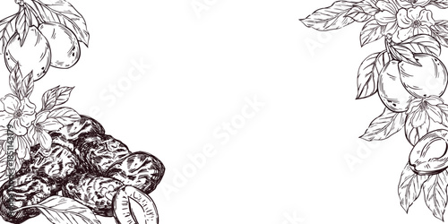 A frame of prunes and plums with leaves, all objects are hand-drawn in vector. The frame made of fruits and dried fruits is perfect for printing on food packaging, textiles, for design.