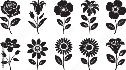 Ten black and white floral with leaves and stems flowers