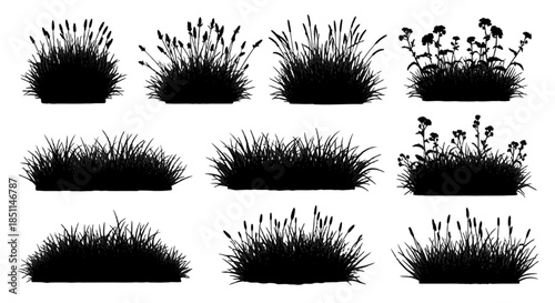 Collection of black silhouettes depicting various types of grass, weeds, and small plants with different shapes and textures, some featuring flowers or seed heads.