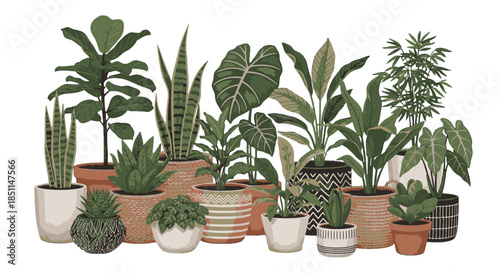 A diverse collection of potted houseplants, featuring various green foliage plants like snake plants, monsteras, and succulents in different decorative pots.
