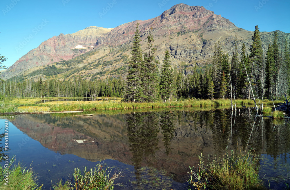 Fototapeta premium Mountain and trees reflected in a lake, Glacier National Park, Montana USA 