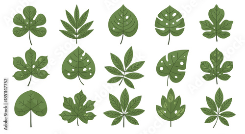 Collection of various green leaves with different shapes and patterns, illustrated in a cartoon or vector style.