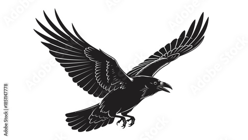 Black raven bird in flight with wings spread wide.