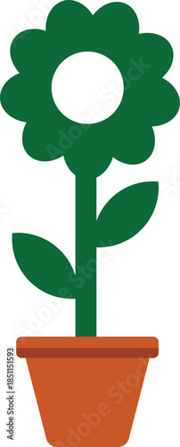 Green flower in terracotta pot