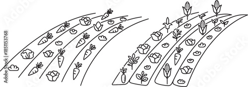 Agricultural Field Rows Outline Set Featuring Various Crop Patterns with Carrots Cabbage and Corn for Farm Landscaping and Gardening Design