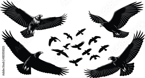 Majestic flying eagle and bird silhouette vector illustration set featuring soaring raptors, dynamic wingspan poses, wildlife flock formation for nature themed graphic design projects