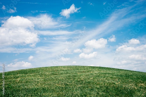 Εκτύπωση καμβά Green hill under blue sky