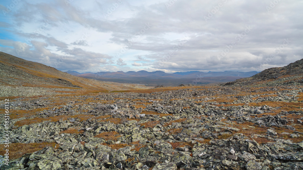 Obraz premium Beautiful mountain summer autumn landscape in the Polar Urals