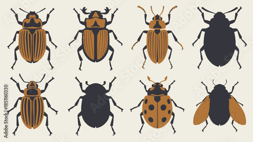 Beetles Collection in Various Colors and Patterns on White Background for Entomology Illustration