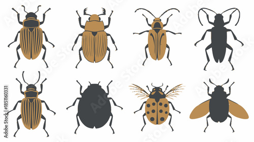 Beetles Collection in Flat Design with Various Colors and Patterns on White Background for Entomology