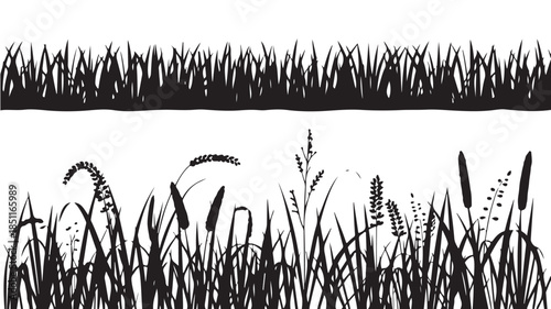 Reeds and cattails in black silhouette with detailed texture on white background for nature illustration